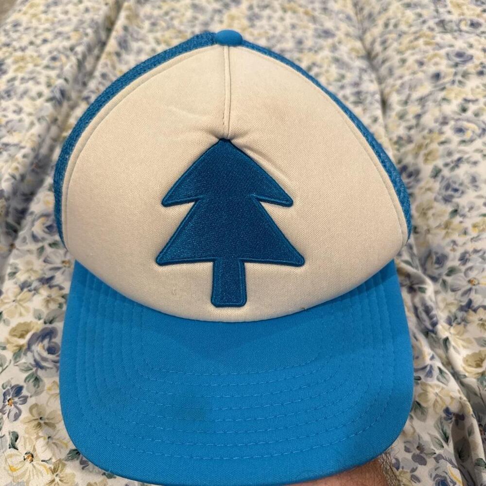 Disney gravity falls dipper pines